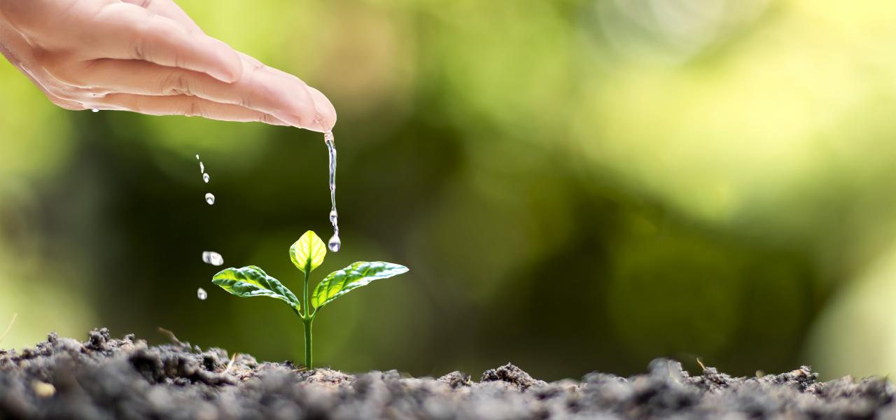 AdobeStock_411549870 AdobeStock_411549870