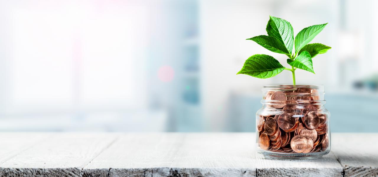 AdobeStock_253663256 AdobeStock_253663256