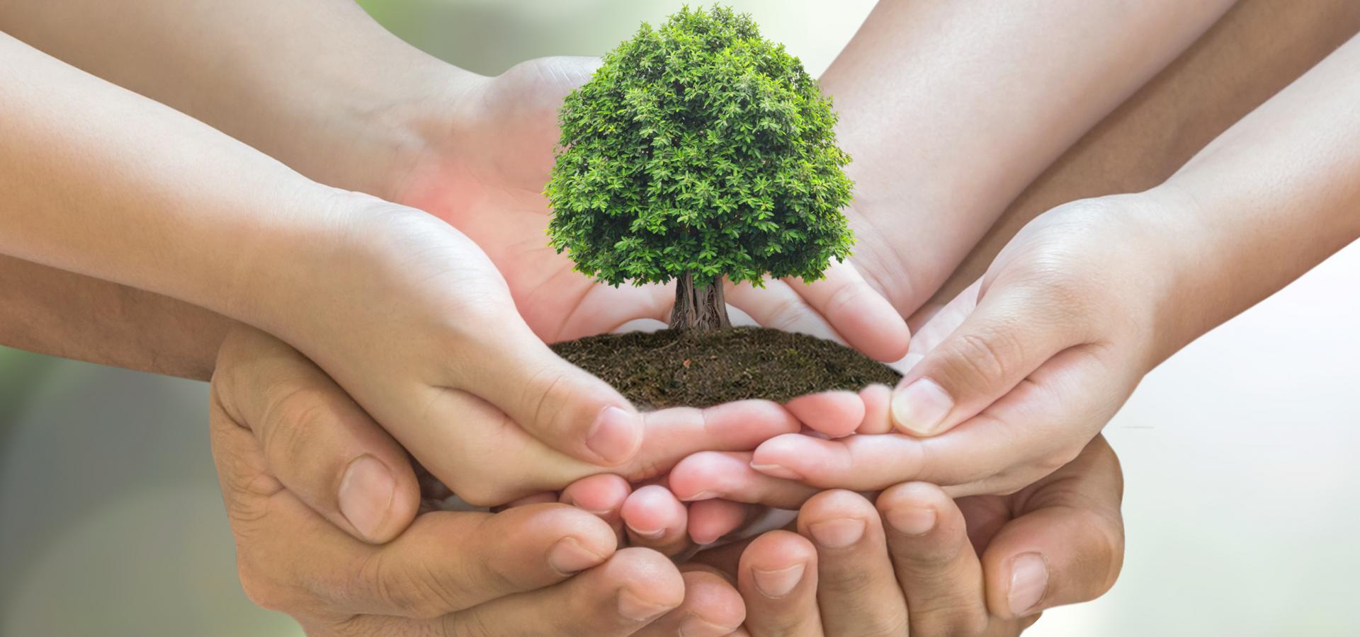 AdobeStock_120304019 AdobeStock_120304019