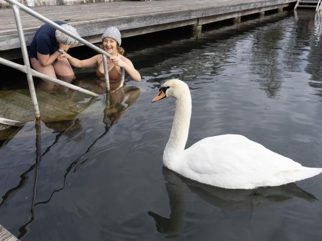 13-DSC05811 13-DSC05811