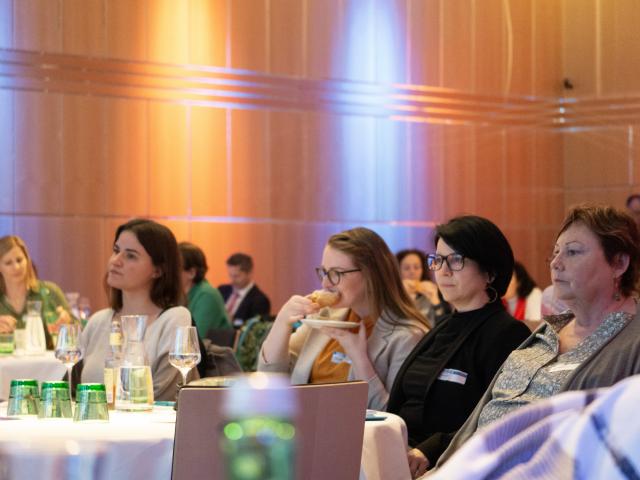 33-DSC06065 33-DSC06065