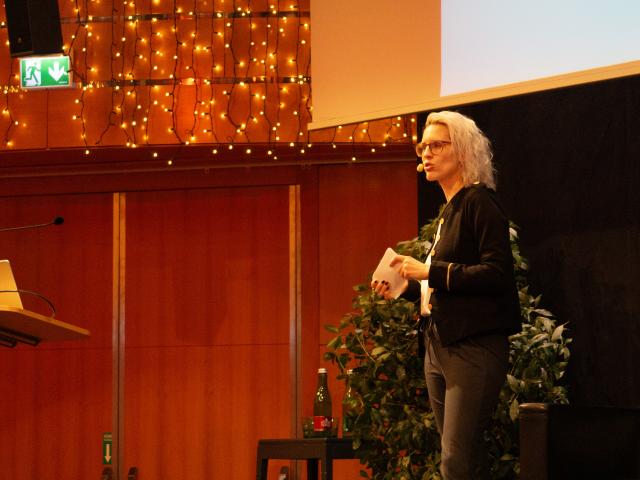 11-DSC06331 11-DSC06331