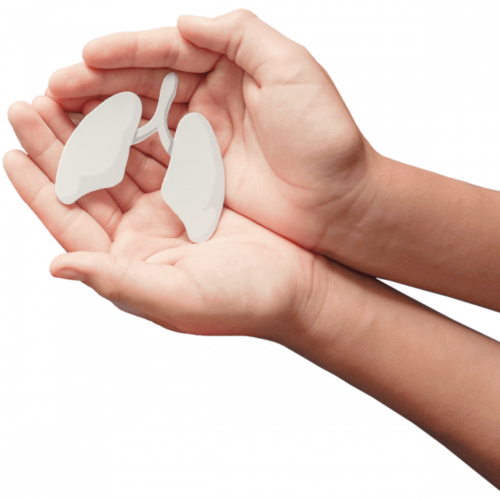 hand hand